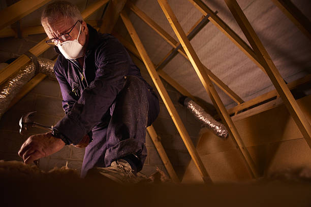 Best Cellulose Insulation in Tontitown, AR