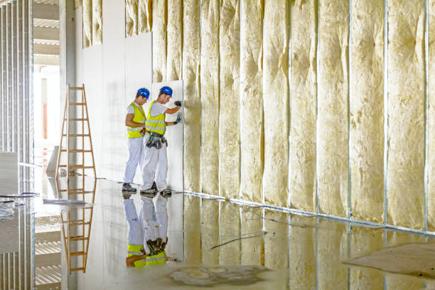 Best DIY Insulation Kits and Guidance in Tontitown, AR